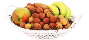 Immagine del prodotto Fruttiera Polipropilene 