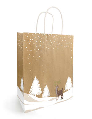 Immagine del prodotto Sacchetto di carta kraft "TINO"