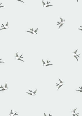 Immagine del prodotto Rotoli in polipropilene "Silver Swallow"