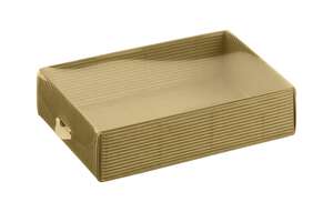 Immagine del prodotto Pattumiera + Coperchio trasparente removibile