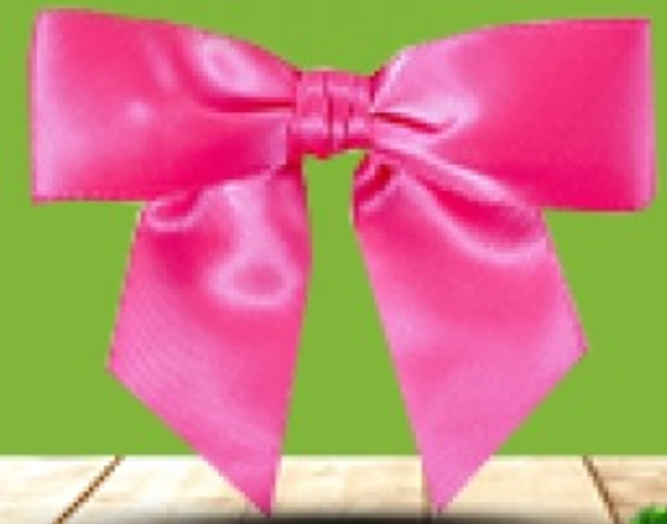 Immagine del prodotto Nastro Fiocco Raso bianco 