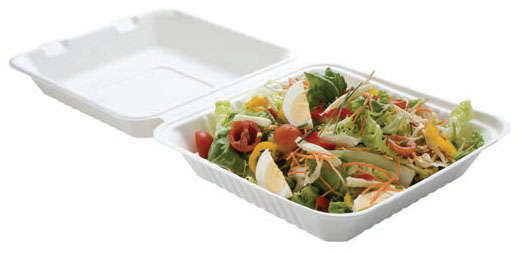 Set di 50 Lunch box 100% naturali - 1 compartimento : Stoviglie/snack